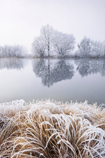 istock Hoar frost, grasses and reflection 1338186328