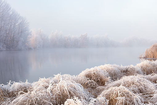 frosty riverside