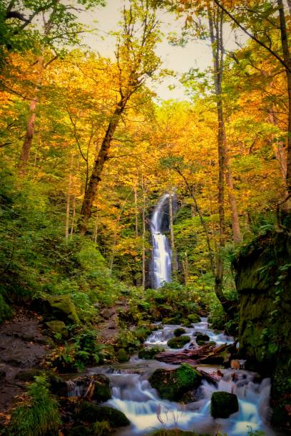 istock Waterfall in Oirase Stream in Aomori, Japan 1338187164