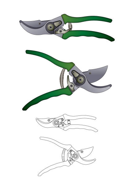 전형적인 secateur, 정원 가위, 정원 클리퍼 – 편집하기 쉬운 - pruning shears stock illustrations