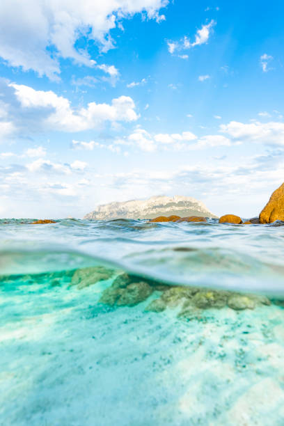 istock (Selective focus) Split-shot, over-under shot, half in half out. Crystal clear, turquoise water in the foreground and Tavolara Island in the distance. Sardinia, Italy. 1338195501