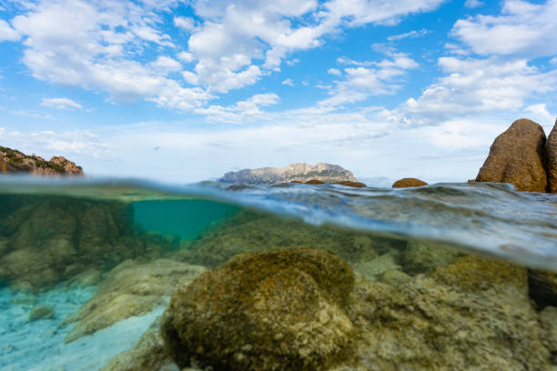 istock (Selective focus) Split-shot, over-under shot, half in half out. Crystal clear, turquoise water in the foreground and Tavolara Island in the distance. Sardinia, Italy. 1338195529