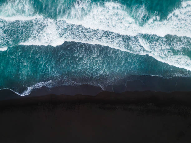 istock Pacific ocean coast in Kamchatka, Russia. 1338198376