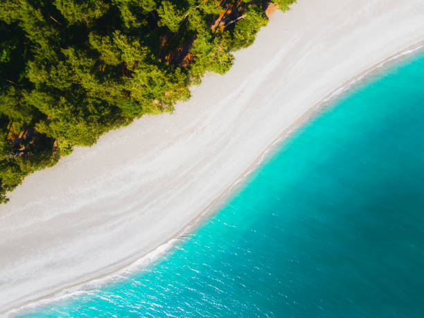 istock Tropical beach with turquoise water. Aerial drone view. 1338198415