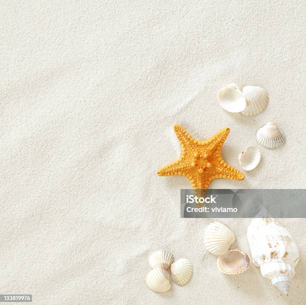 Beach Stock Photo - Download Image Now - Sand, Animal Shell, Starfish