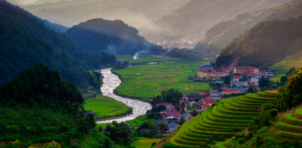 Terraced rice field in rice season in Sapa, Vietnam Terraced rice field in rice season in Sapa, Vietnam geochelone yniphora stock pictures, royalty-free photos & images