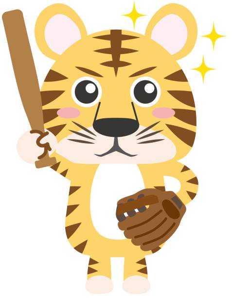 ilustraciones, imágenes clip art, dibujos animados e iconos de stock de tigre practicando deportes, tigre con bate de béisbol y guantes / material de ilustración (ilustración vectorial) - baseball baseball bat baseballs baseball diamond