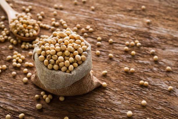 istock Soy beans seed in hemp sack bag on wooden background. 1338201937