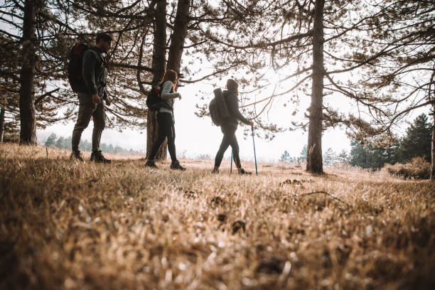 istock Group of friends hiking in mountain 1338203033
