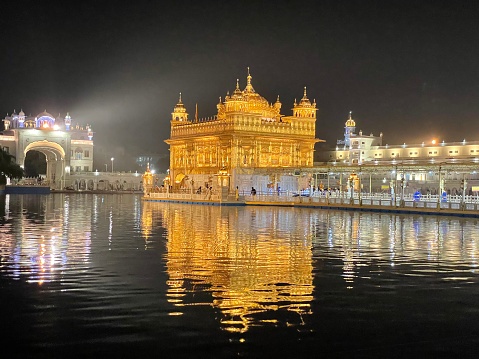 Queen Of Night Stock Photo - Download Image Now - Golden Temple - India,  Amritsar, Ancient - iStock