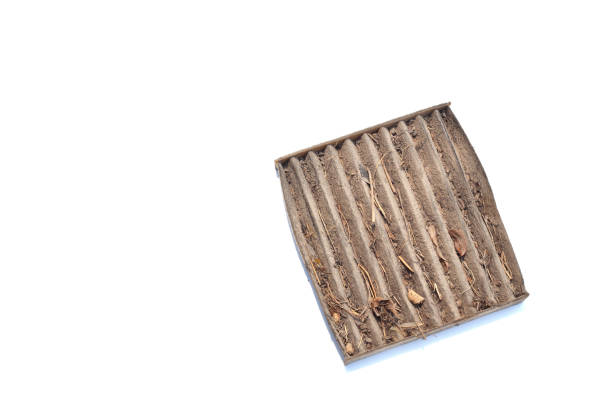 istock Car air filter is very dirty 1338206224