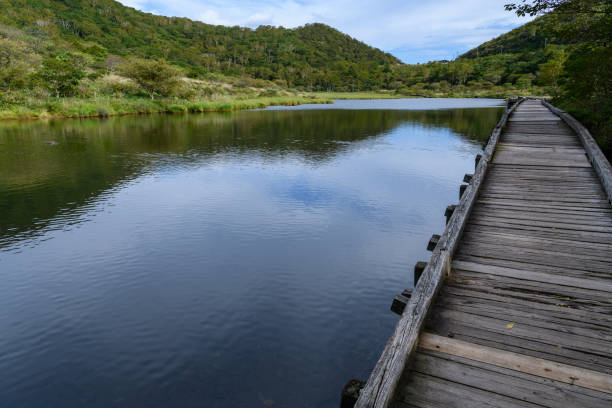 istock Kakumanbuchi Marsh in the early autumn 1338207003