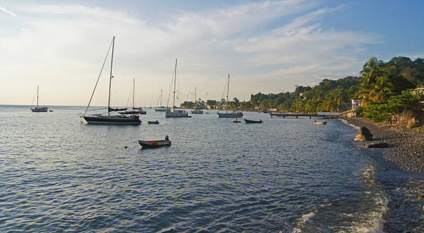 istock Roseau Coast, Dominica Island 1338210051