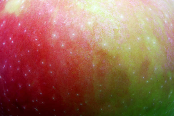istock extreme close-up red and green apple background 1338218251