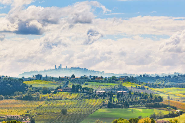 istock Italian landscape with vineyards 1338220822