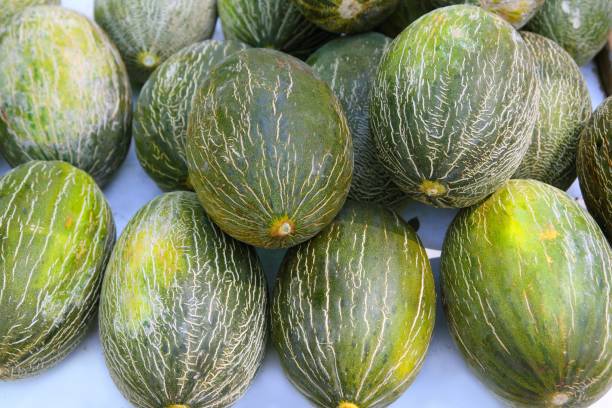 Piel de Sapo Santa Claus melon stacked rows fruit Piel de Sapo Santa Claus melon stacked rows in fruit market yellow melons field stock pictures, royalty-free photos & images