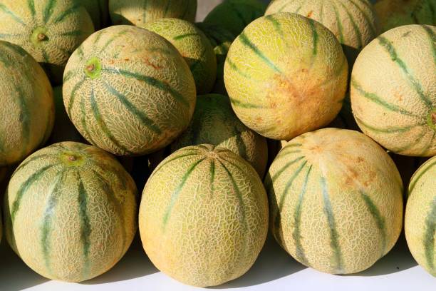 istock Cantaloupe rock melon muskmelon spanspek 1338223489