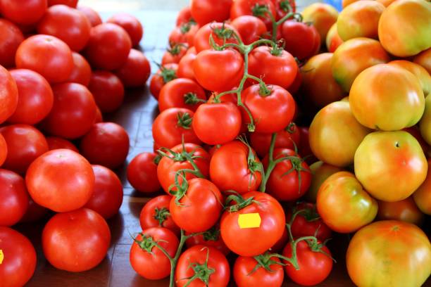istock Tomatoes stacked in market different species 1338223547