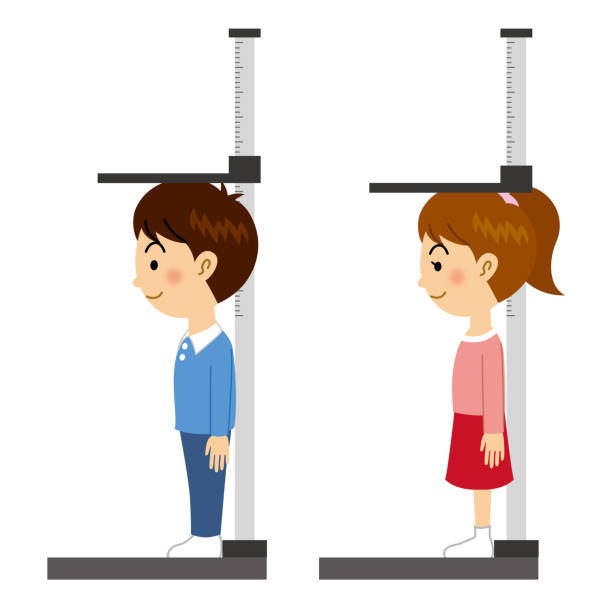 physical measurement Boys and girls measuring height boy height measure stock illustrations