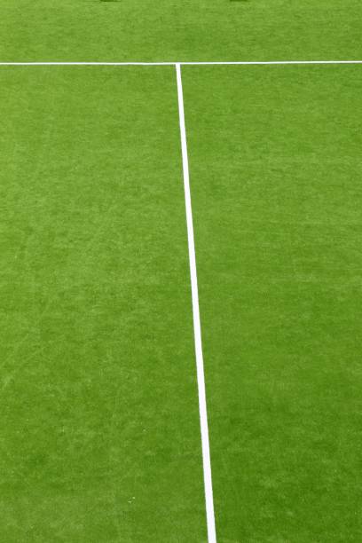 istock paddle tennis green grass field texture white lines 1338226504