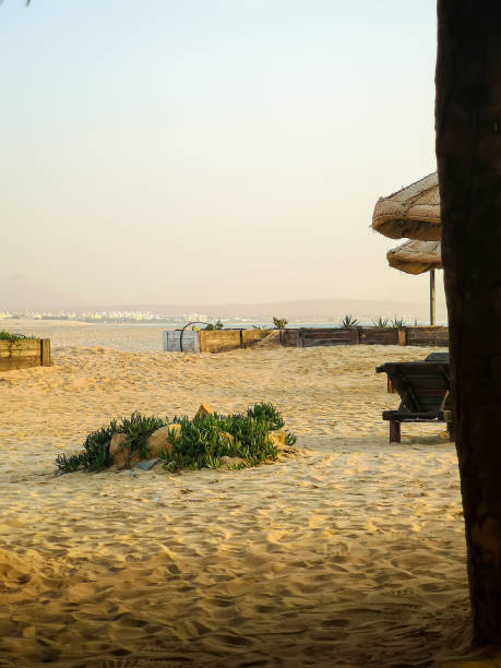 istock Sandy landscape in Cape Verde 1338226774