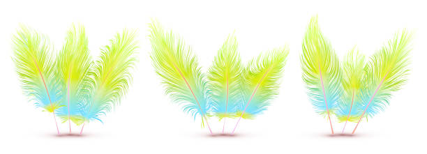 illustrazioni stock, clip art, cartoni animati e icone di tendenza di set di piume vettoriali multicolori - phoenix wing bird peacock