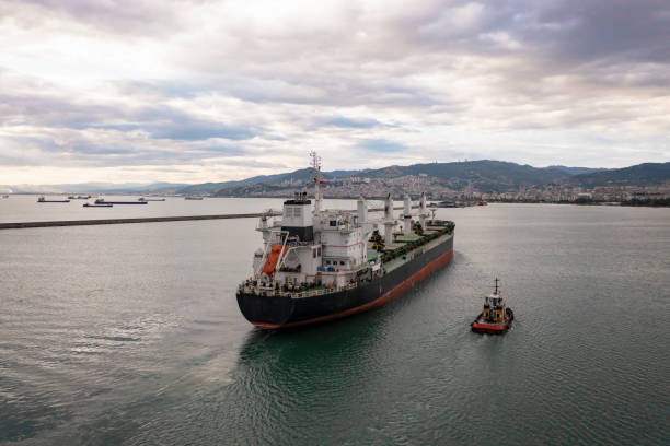 istock Aerial view of cargo ship in transit. 1338227784