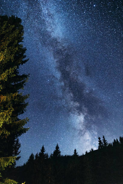istock Scenic Milky Way from the pine forest 1338227878
