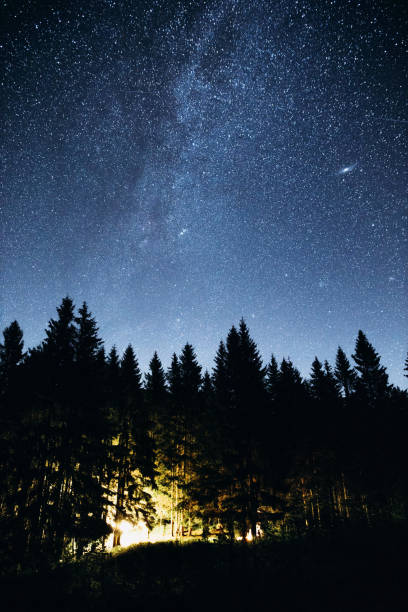 istock Scenic Milky Way from the pine forest 1338227894