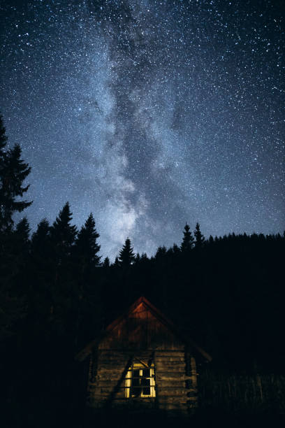 istock Scenic Milky Way from the pine forest 1338227922