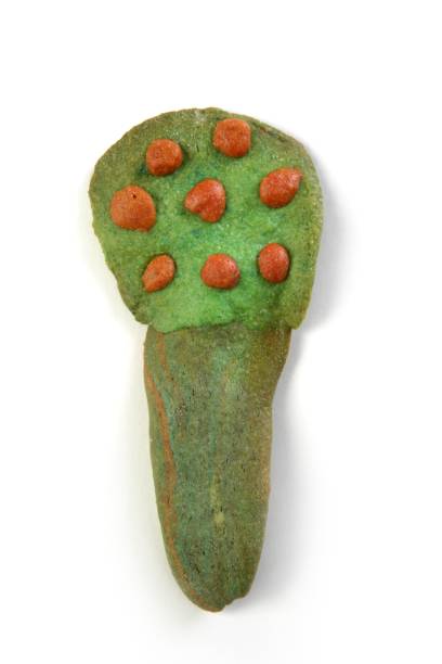 istock tree shape green biscuits with orange fruits isolated 1338232407