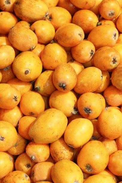 istock medlar fruits pattern background texture market 1338232494