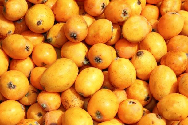 istock medlar fruits pattern background texture market 1338234428