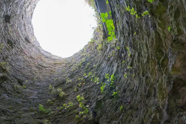 Circular stone tunnel with green leaves of plants and brightness of daylight at end
