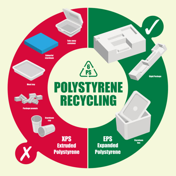Vector diagram of recyclable and non-recyclable polystyrene items Vector diagram of what are the recyclable and non-recyclable polystyrene items polystyrene box stock illustrations