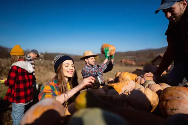 Photo of Cheerful farm workers putting pumpkins in the tractor trailer