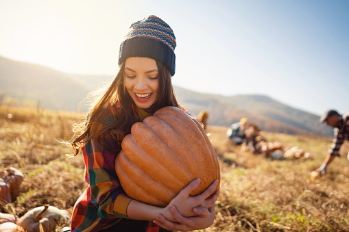 Cheerful Caucasian woman farmer harvesting pumpkins on the field on a beautiful sunny autumn day.
