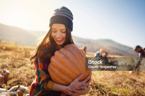 Happy Young Female Farmer Harvesting Pumpkins On The Field Stock Photo - Download Image Now