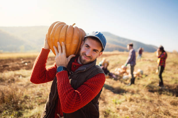 istock One young farmer harvesting pumpkins on the field 1338243003