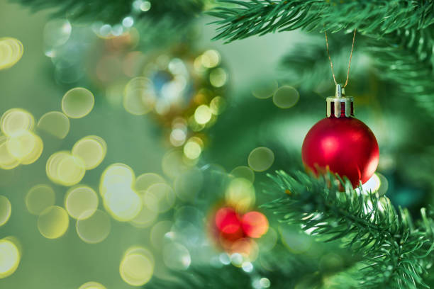 boules de sapin de noël rouges sur les branches - decorative feature photos et images de collection