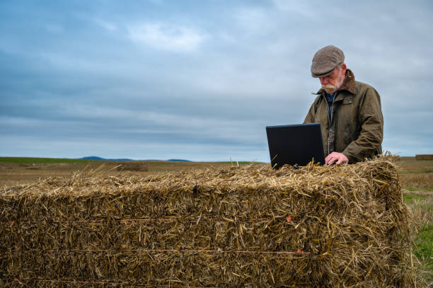 istock Senior man using a laptop in a crop field 1338251263