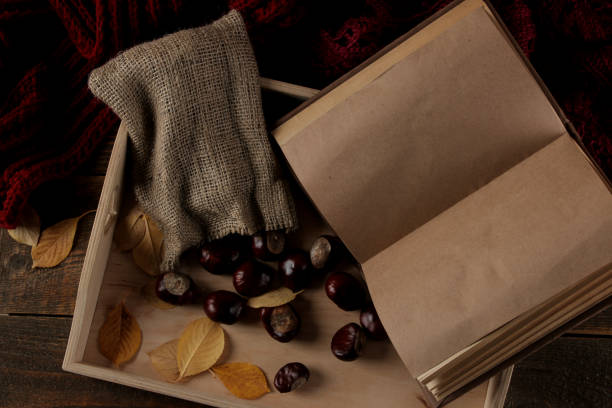autumn composition with a warm tray and chestnuts and a book on a brown wooden background - sweet food chestnut yellow brown imagens e fotografias de stock