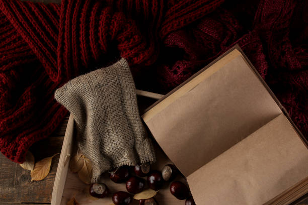 autumn composition with a warm tray and chestnuts and a book on a brown wooden background - sweet food chestnut yellow brown imagens e fotografias de stock