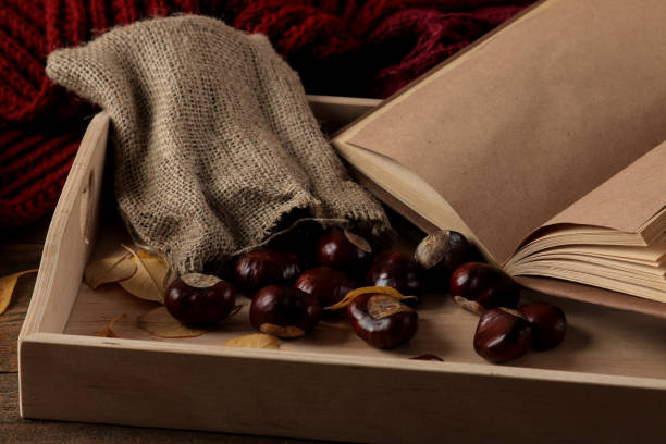 autumn composition with a warm tray and chestnuts and a book on a brown wooden background - sweet food chestnut yellow brown imagens e fotografias de stock