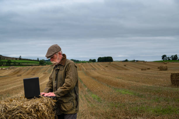 istock Grey haired man using a laptop on a bale of straw 1338251366