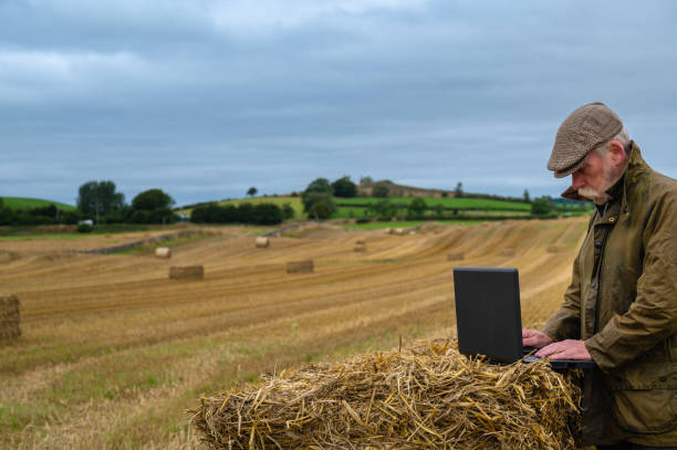 istock Active senior man using a laptop in a crop field 1338251377