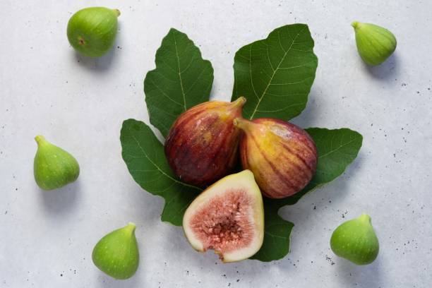 istock Ripe and underripe fig fruit, leaf, branch (White background) 1338255061