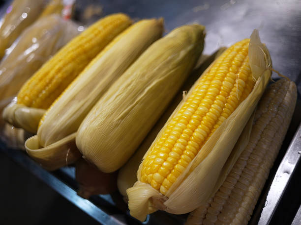 현지 야시장 태국에서 껍질을 파는 삶은 노란 옥수수 - corn on the cob corn cooked boiled 뉴스 사진 이미지