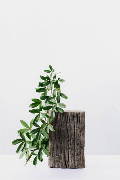istock Timber for showing product 1338259154