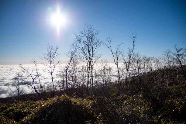 Summit of Mt.Akagi Summit of Mt.Akagi in the eary morning,GunmaPrefecture,Japan mt akagi stock pictures, royalty-free photos & images